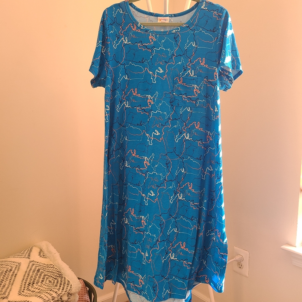 United States outline Carly